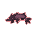 Dark Barraskewda